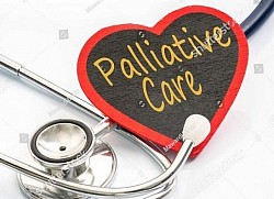 palliative care in kottayam